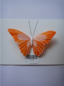 six colors butterflies