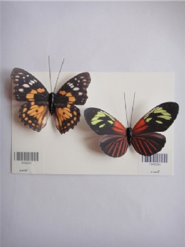 10 style butterflies