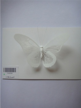 5 style PVC fluorescence butterflies