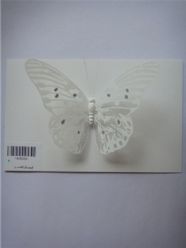 3 style white pvc fluorescence butterfly