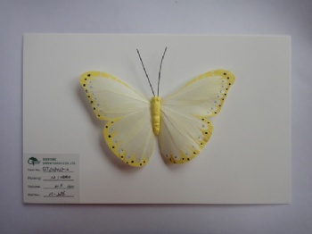 5 colors feather butterfly