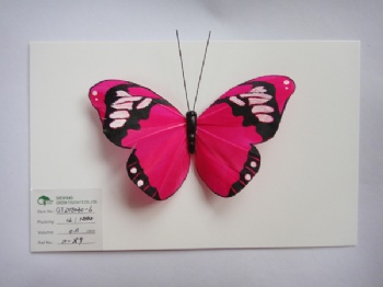 8 colors butterfly