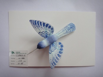 5 colors feather trochilus