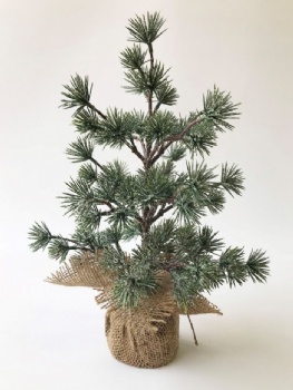 Xmas tree