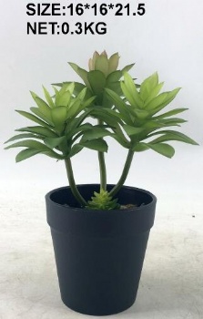 Spring arrangement 2020