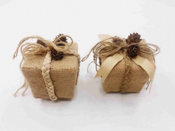 Christmas Gift Box, Bird House, Hanger