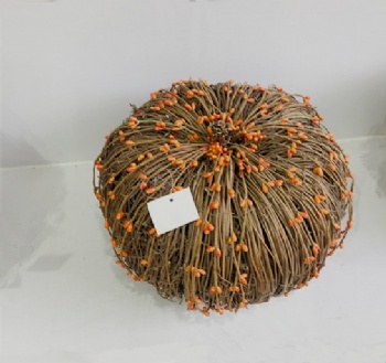 Fall (Autumn) Pumpkin