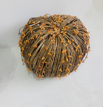 Fall (Autumn) Pumpkin
