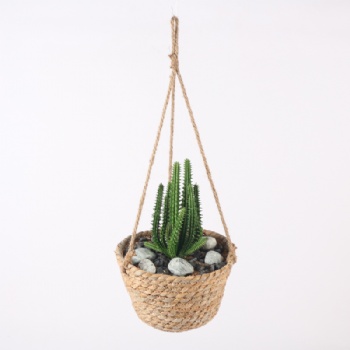 Home Decoration Flower Pot Hanging