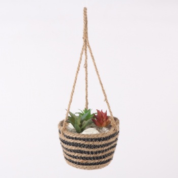 Home Decoration Flower Pot Hanging