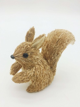 Natural Grass Squirrel