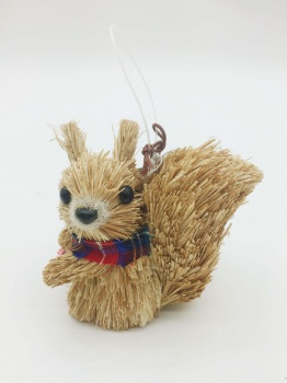 Natural Grass Squirrel