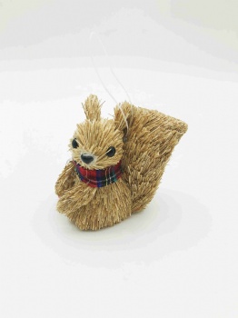 Natural Grass Squirrel