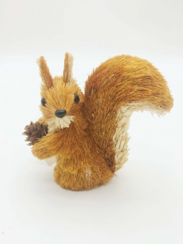 Brown Sisal Squirrel, Fox