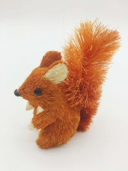 Brown Sisal Squirrel, Fox