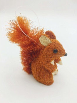 Brown Sisal Squirrel, Fox