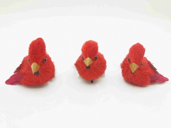 Christmas Red Birds