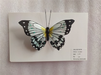 Feather Butterfly