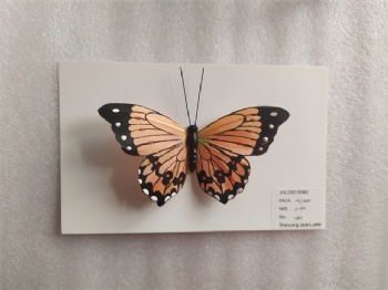 Feather Butterfly