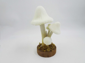 Mushroom