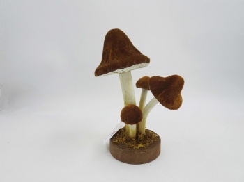 Mushroom