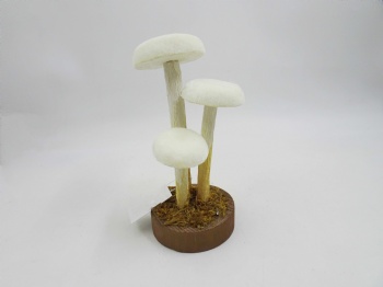 Mushroom