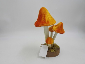 Mushroom