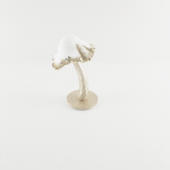 Mushroom Arrangement